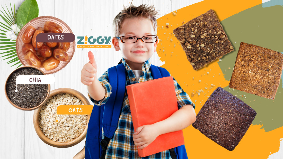 A delicious snack bars for healthy tummy | Ziggy Bars