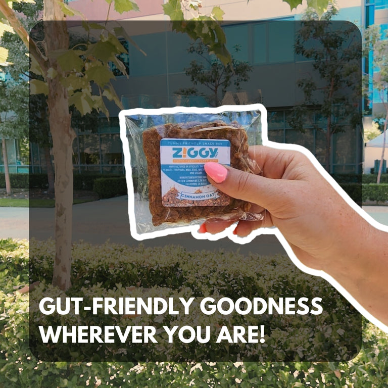 Cinnamon Oat Ziggy Bars