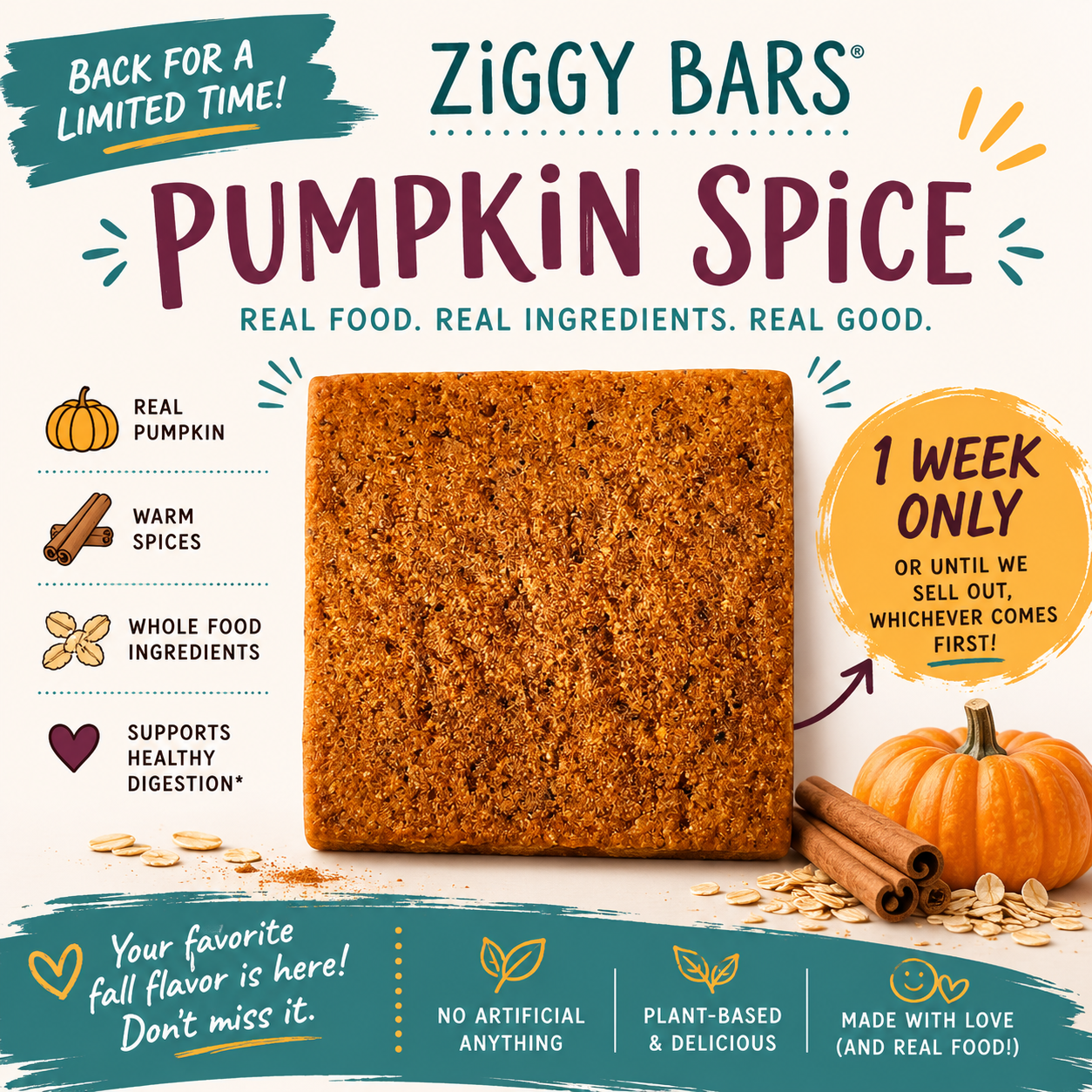 Pumpkin Spice Ziggy Bars