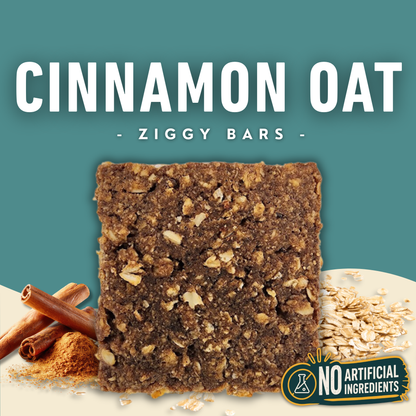 Cinnamon Oat Ziggy Bars